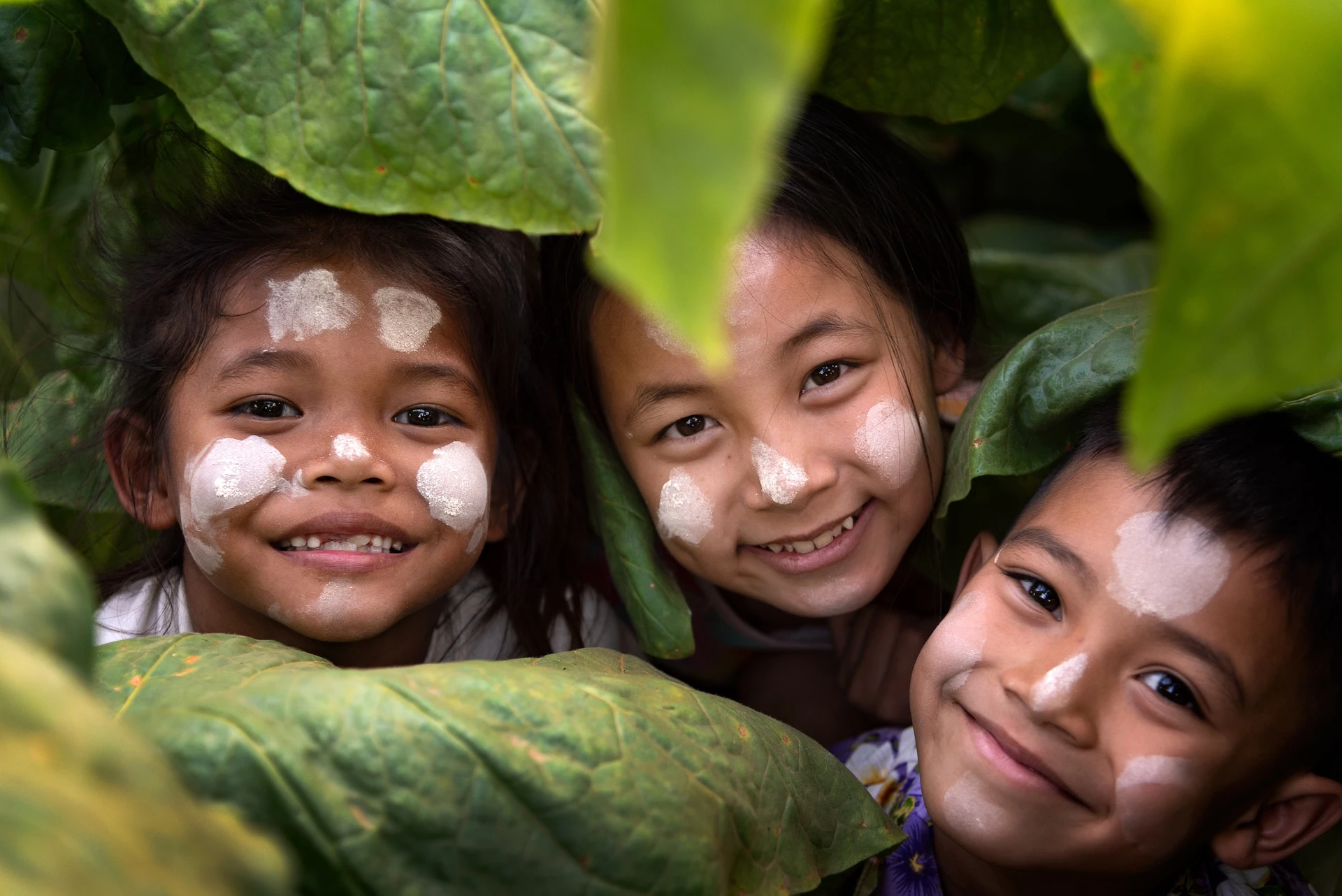 Three children with painted faces smile joyfully while peeking through large green leaves.
