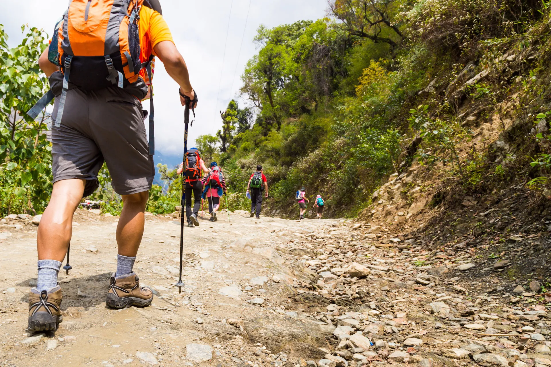 A group of hikers with backpacks and walking poles trekking up a rocky mountain trail surrounded by lush green forest.