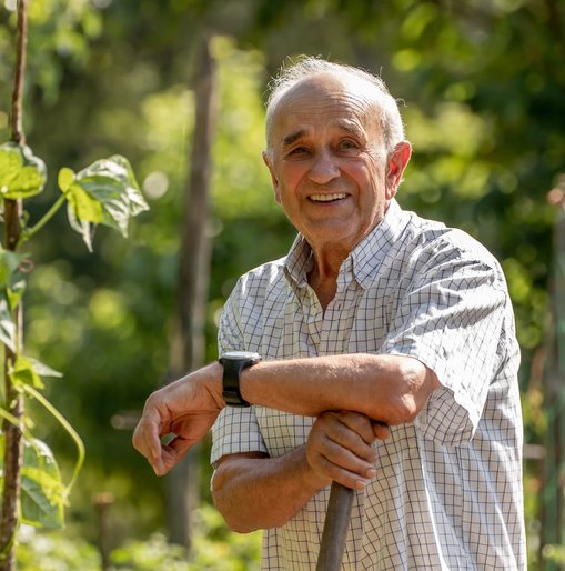 An elderly man smiling and leaning on a gardening tool in a lush, green garden on a sunny day.