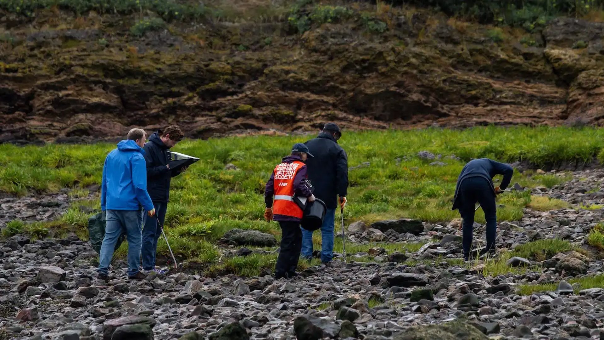 The Giant Digital team participating in a beach clean, collecting litter and taking notes along a rocky shoreline with grassy terrain and cliffs in the background.