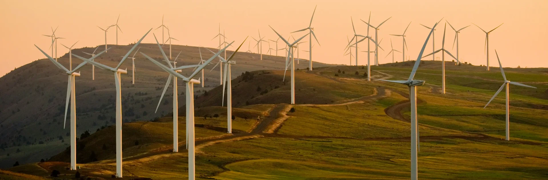 Wind turbines spread across rolling green hills at sunset, representing sustainable energy production, with the Hetzner logo and the words 'Server · Cloud · Hosting' in the corner.
