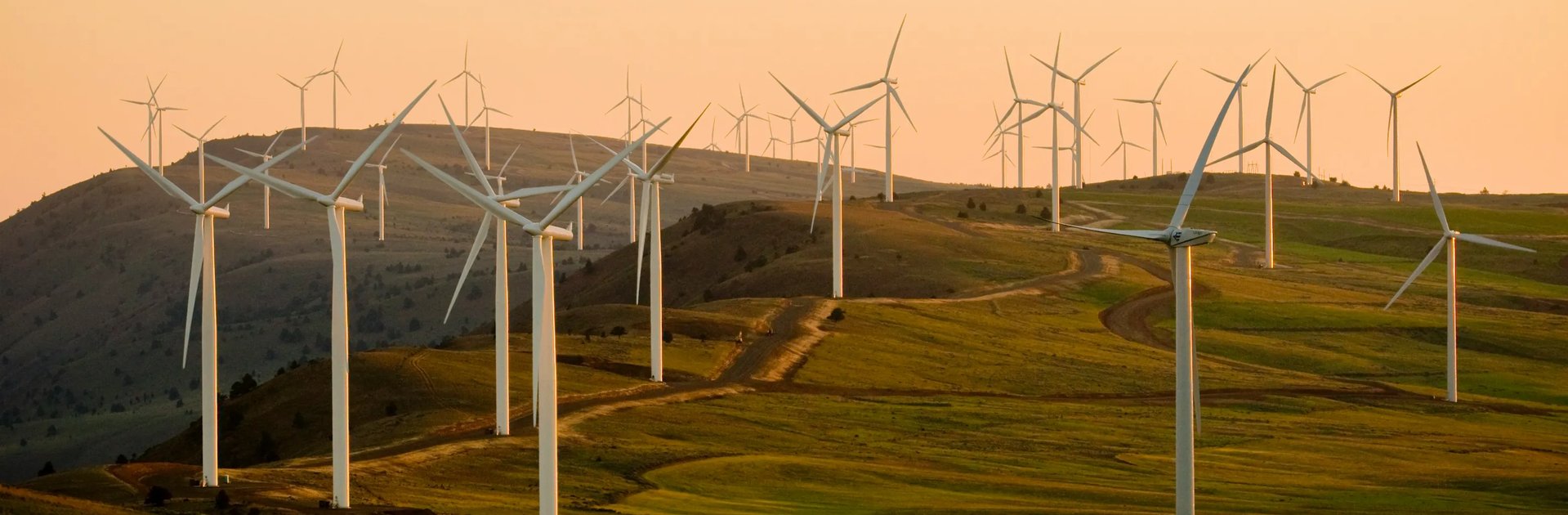 Wind turbines spread across rolling green hills at sunset, representing sustainable energy production, with the Hetzner logo and the words 'Server · Cloud · Hosting' in the corner.